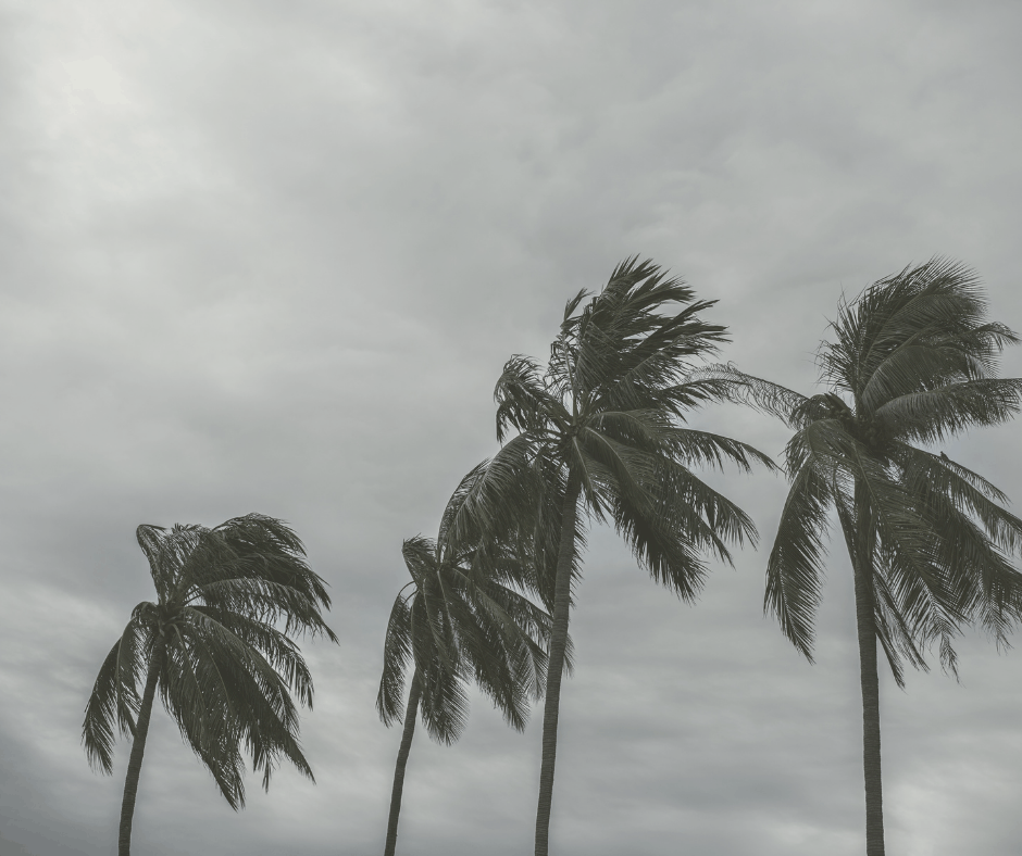 img-Natural Disaster Claims The Cochran Firm Practice Area