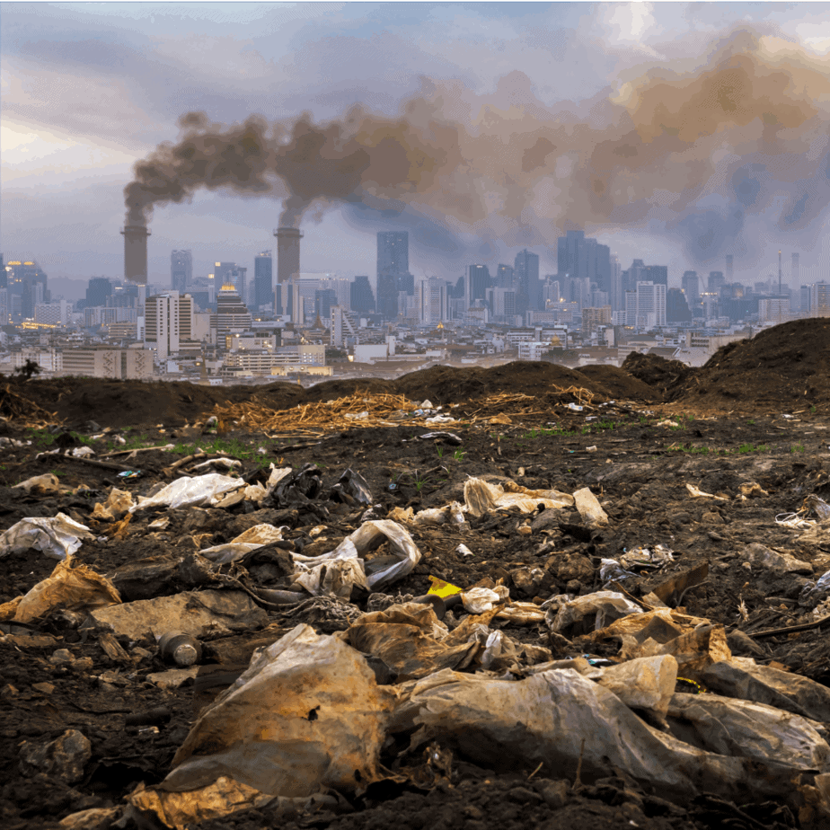 img-The Cochran Firm Environment