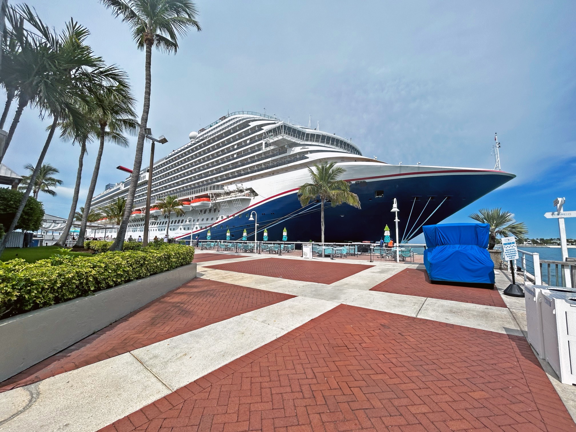 img-The Cochran Firm Cruise Ship Accidents